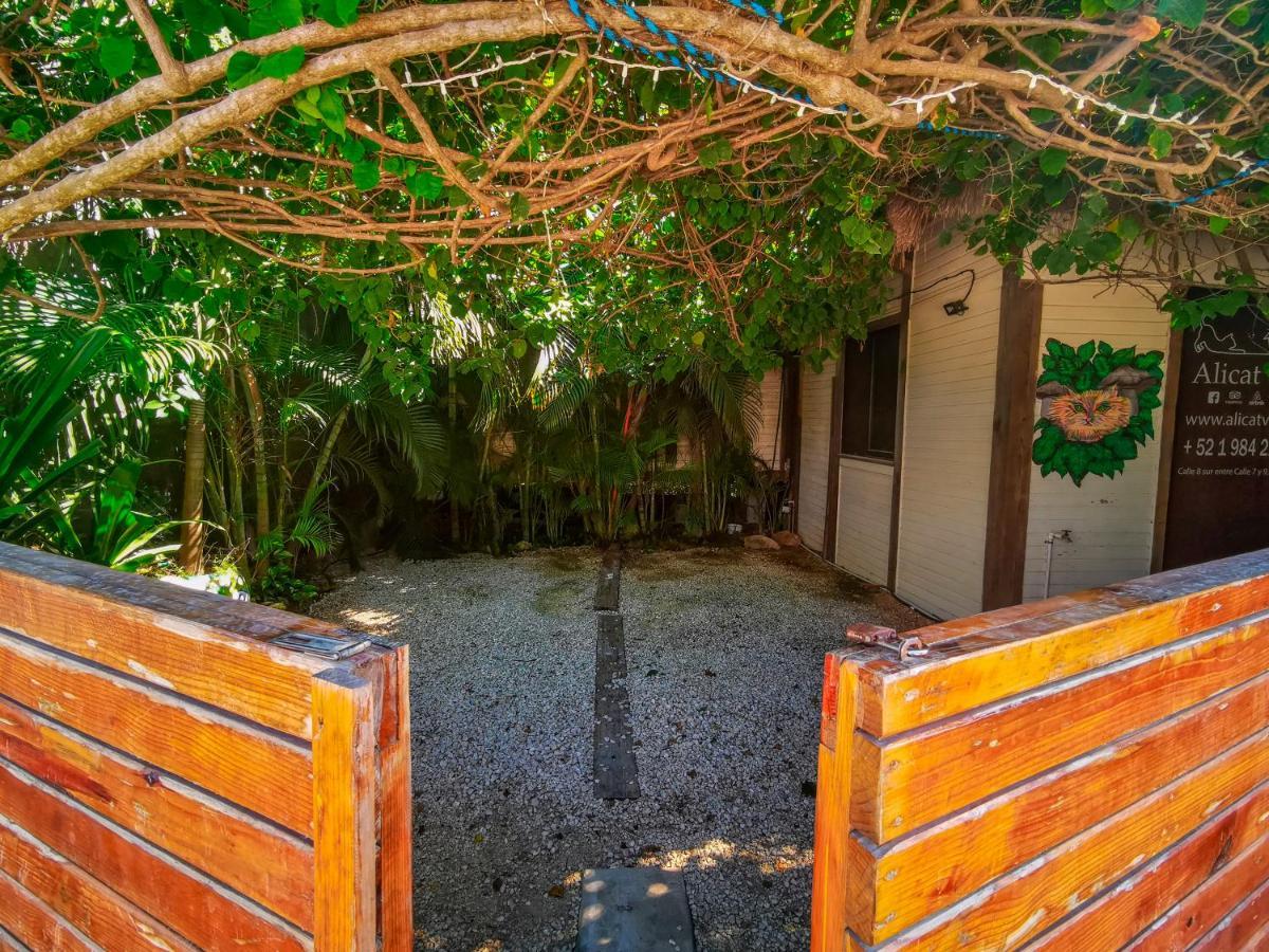 Alicat Villas Tulum Zewnętrze zdjęcie